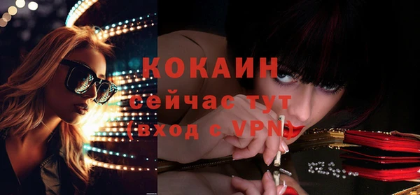 крисы Арсеньев
