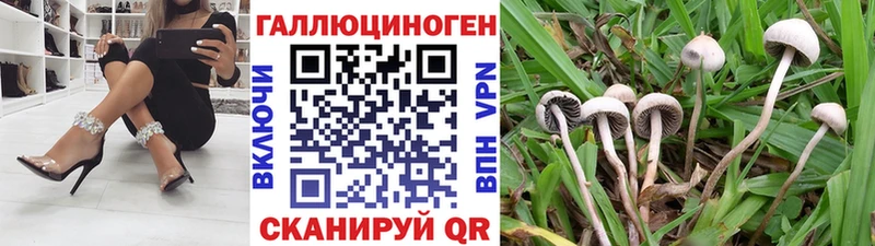 Псилоцибиновые грибы мухоморы Балтийск